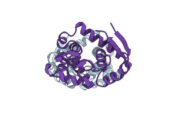 5XTJ image