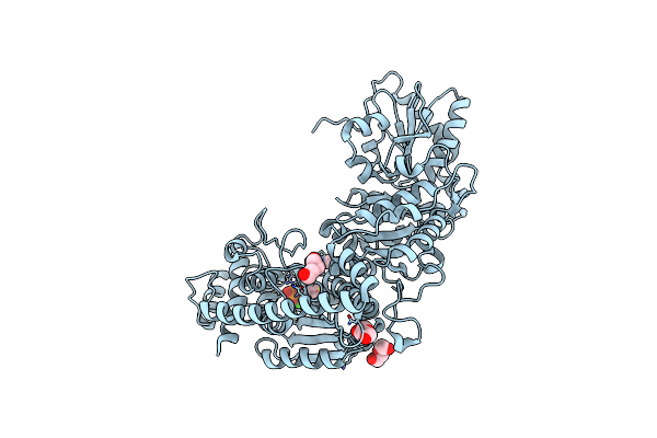 5XTL image