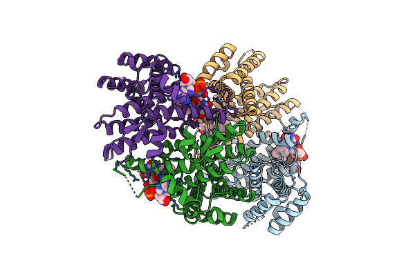 5XTR image