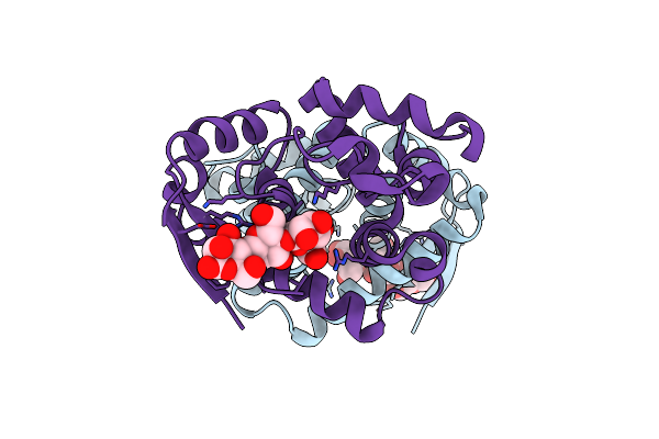 5XTT image