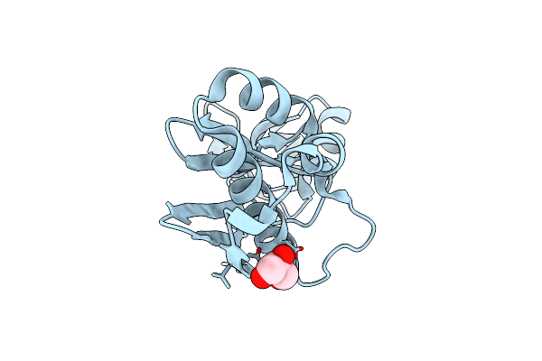 5XUM image