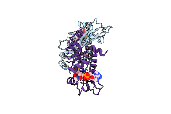 5XUN image
