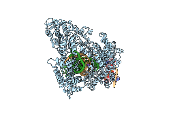 5XUS image