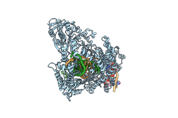 5XUU image