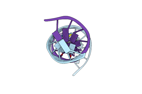 5XUV image