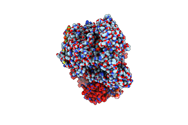 5XUZ image