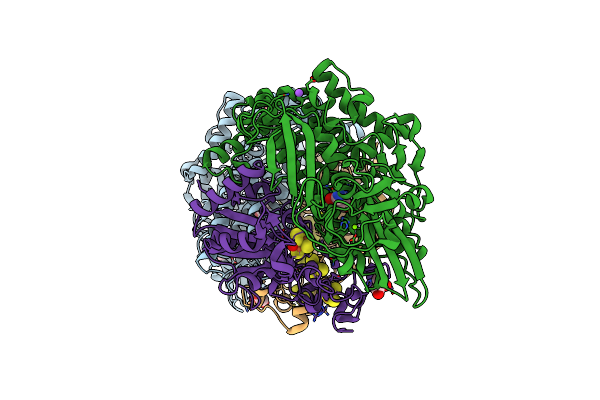 5XVD image