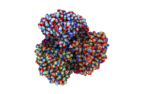 5XVV image