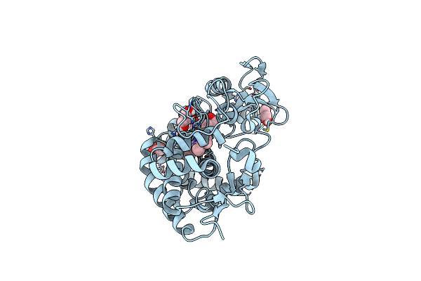 5XW2 image