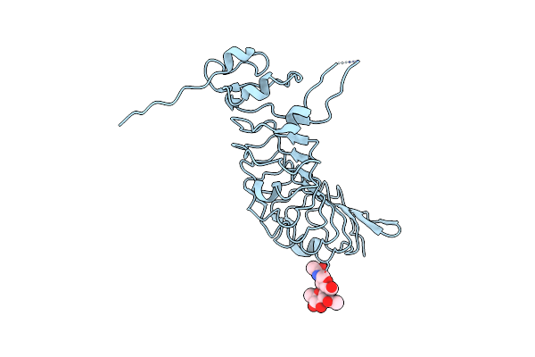 5XWS image