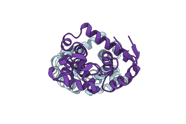 5XXA image
