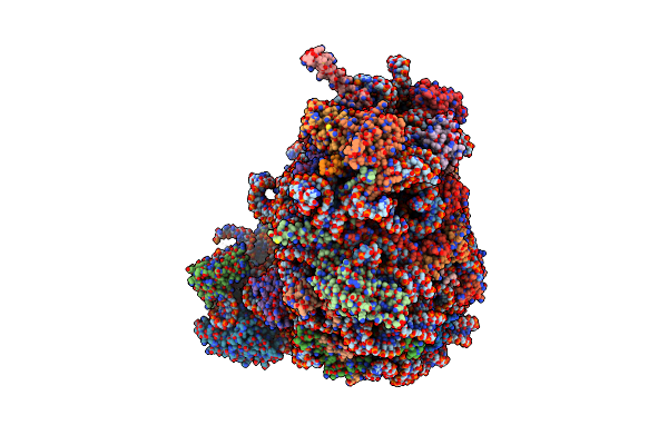 5XXB image