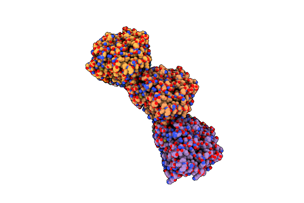5XXT image