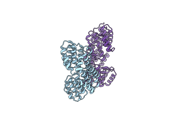 5XYB image