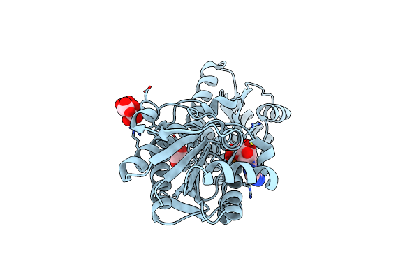 5XZA image