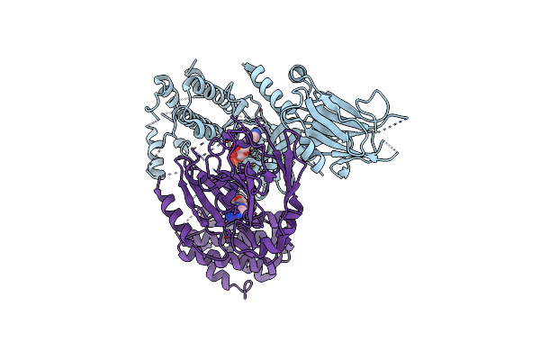 5XZV image