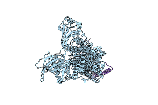 5Y0B image
