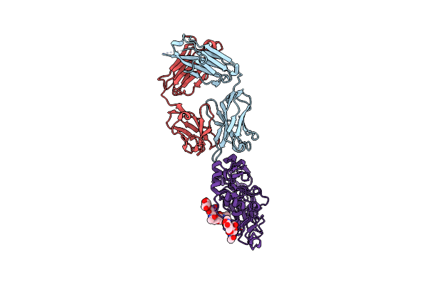 5Y11 image