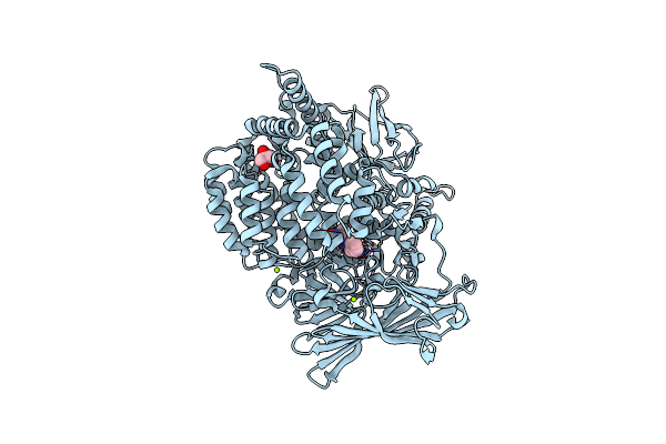 5Y19 image
