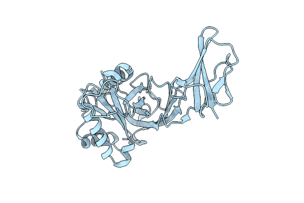 5Y1A image