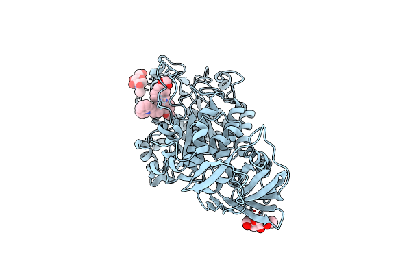 5Y1B image