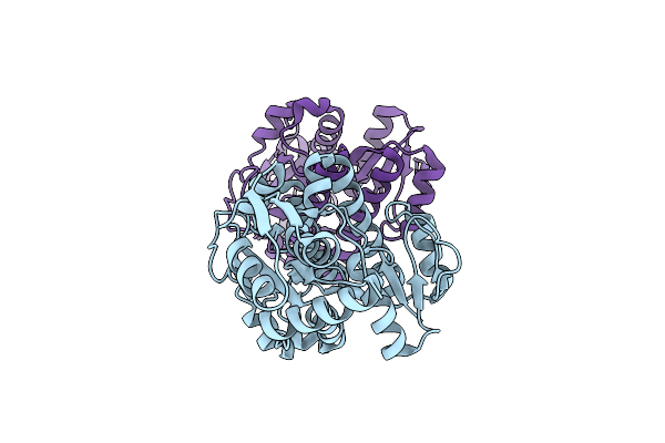 5Y1D image