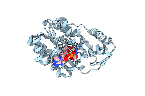5Y1E image