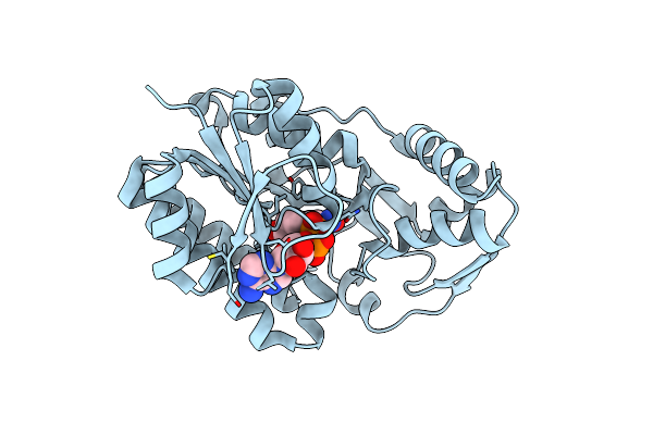 5Y1F image