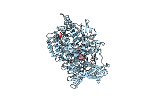 5Y1H image