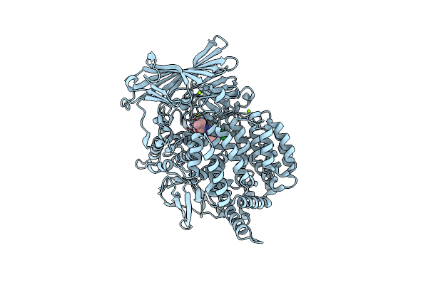 5Y1Q image