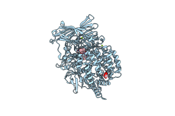 5Y1R image