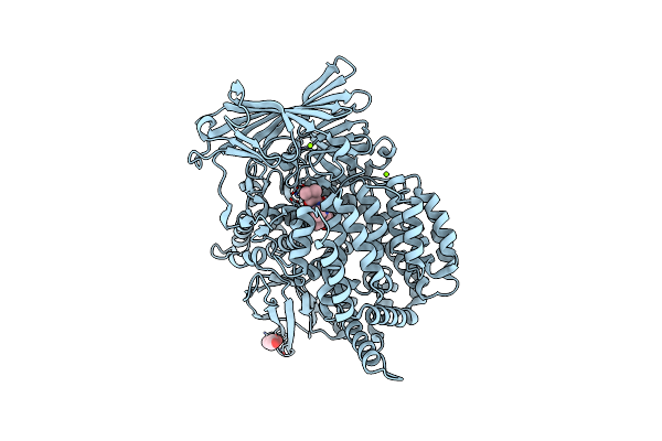 5Y1V image