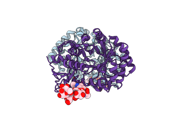 5Y2A image