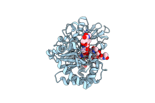 5Y2B image