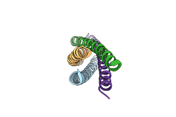 5Y2E image