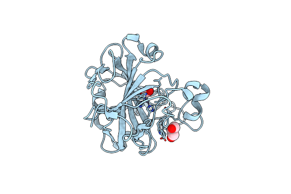 5Y2R image