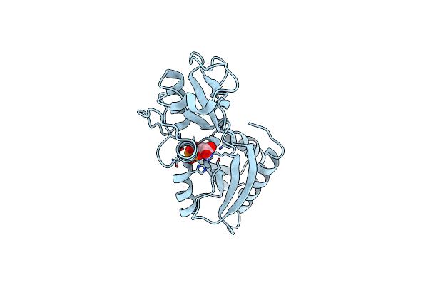 5Y2W image