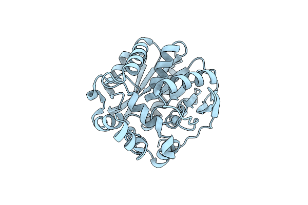 5Y2X image