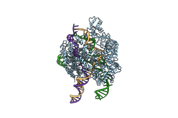 5Y36 image