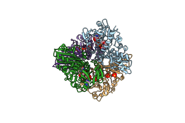 5Y37 image