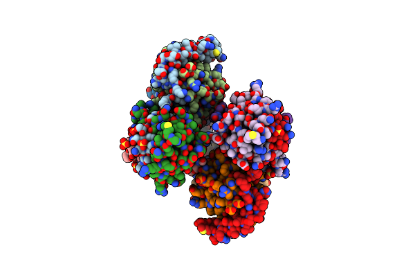 5Y3A image