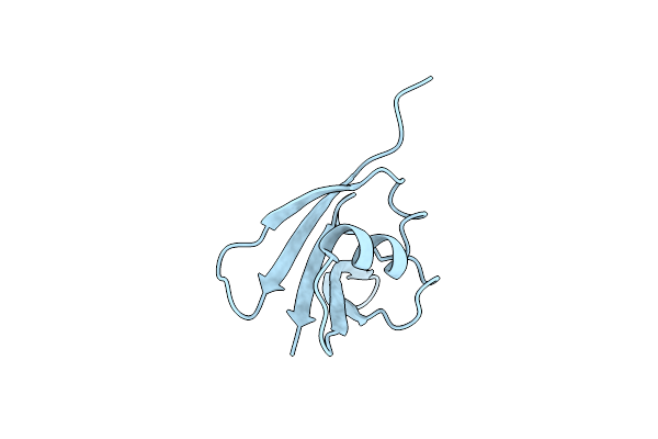 5Y3C image