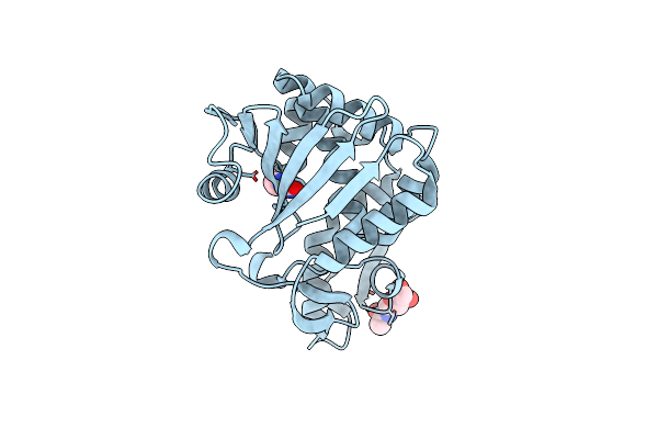 5Y48 image