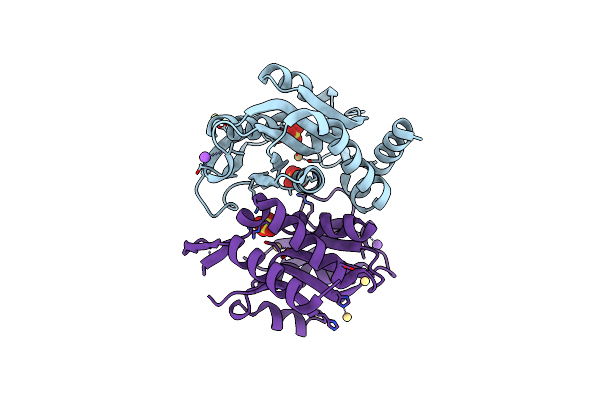 5Y4A image