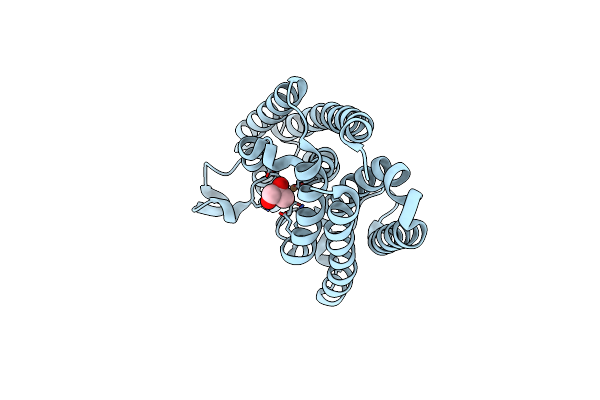 5Y4C image