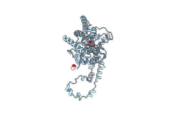 5Y4I image