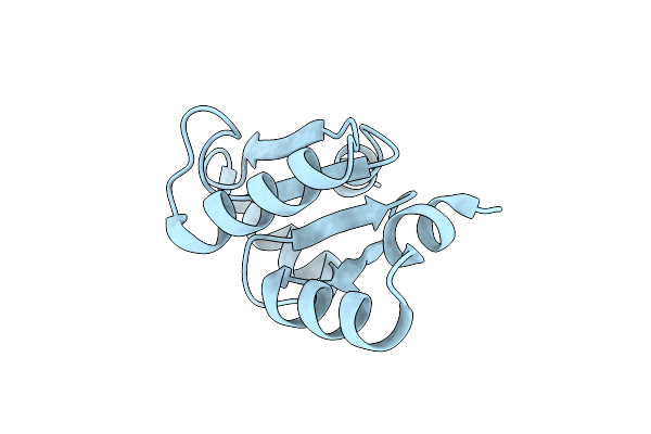 5Y4U image