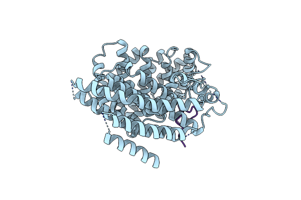 5Y5A image