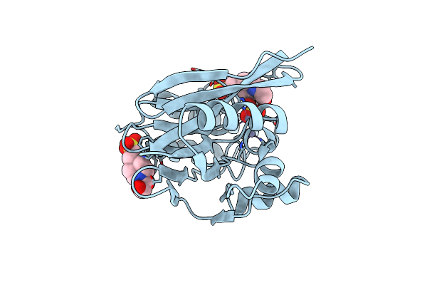5Y5B image