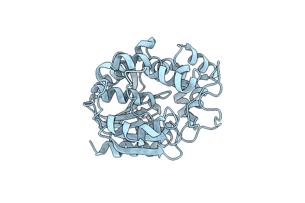 5Y5D image